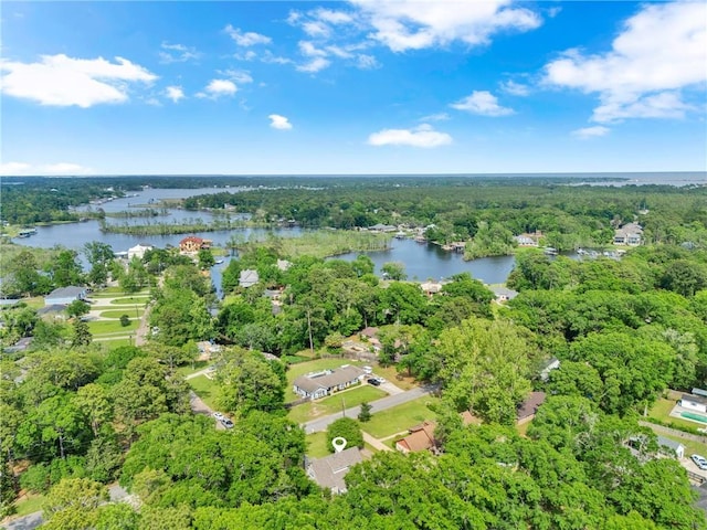 bird's eye view with a water view and a wooded view