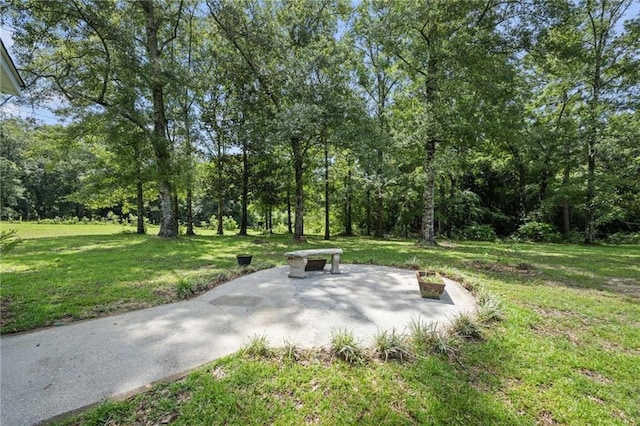 view of community featuring a yard and a patio area