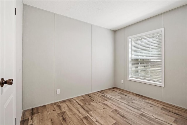 spare room with a wealth of natural light and light hardwood / wood-style flooring