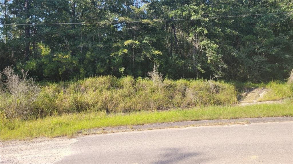 0 Gemini Rd, Wilmer, AL 36587