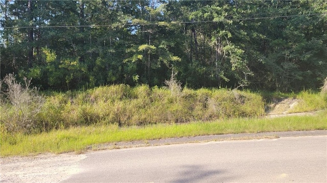 0 Gemini Rd, Wilmer, AL 36587