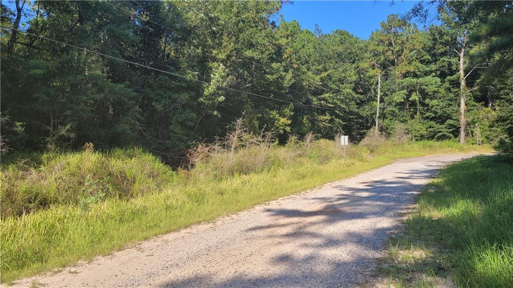 0 Gemini Rd, Wilmer, AL 36587