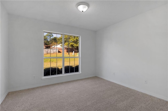 spare room featuring carpet