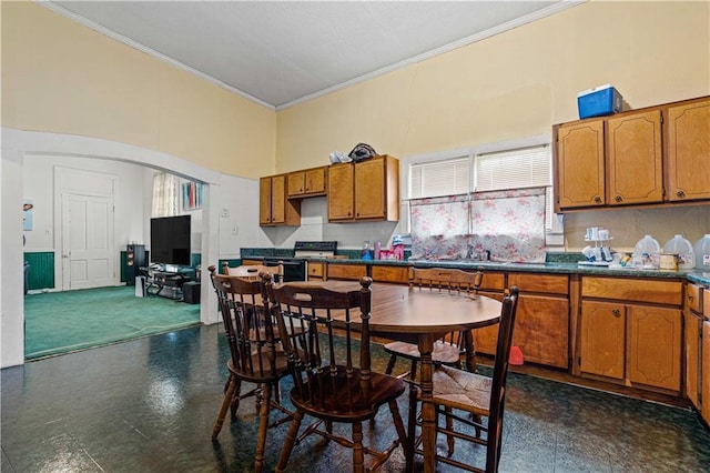 kitchen with electric stove, a towering ceiling, crown molding, and sink