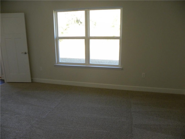 empty room with carpet flooring