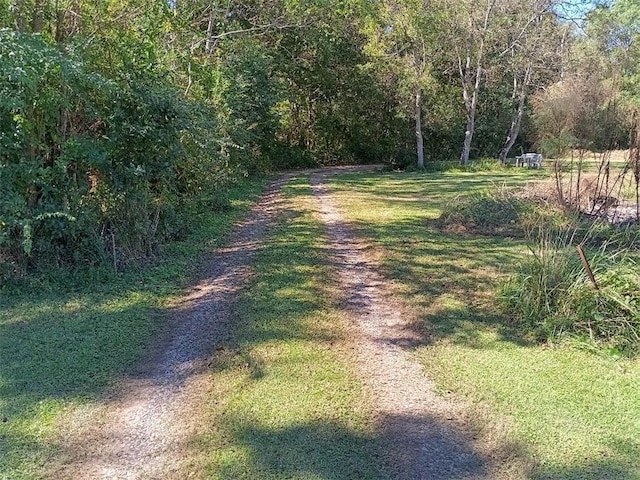 view of road with a wooded view