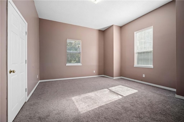 carpeted spare room with a healthy amount of sunlight