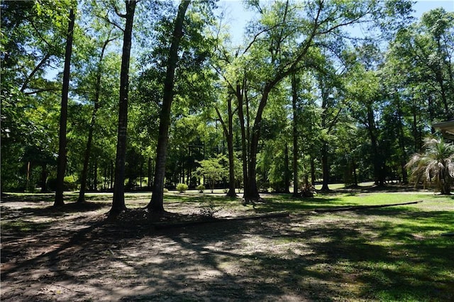 view of landscape