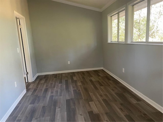 unfurnished room featuring ornamental molding and dark hardwood / wood-style floors