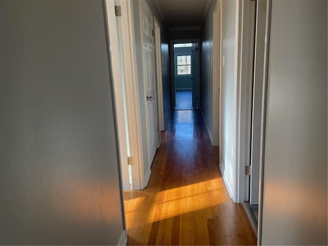 hallway with wood-type flooring