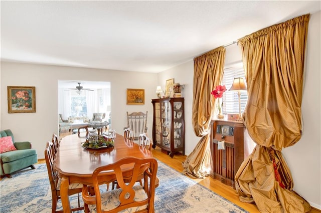 dining room with ceiling fan and light hardwood / wood-style flooring