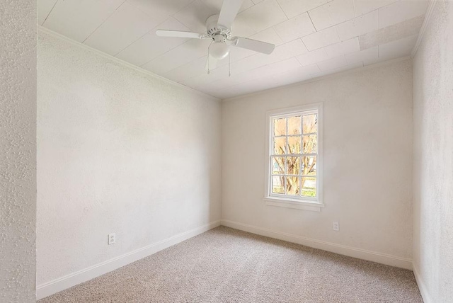 unfurnished room featuring crown molding, ceiling fan, and carpet