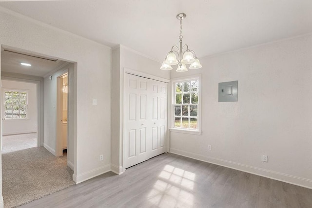 unfurnished bedroom featuring ornamental molding, electric panel, multiple windows, and light wood-type flooring