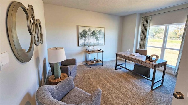2295 Nadine Ln, Mobile, AL 36695 - office featuring carpet flooring and baseboards