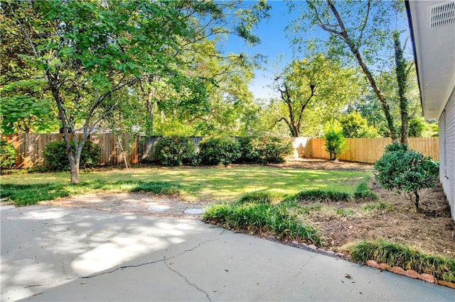 view of yard featuring a patio