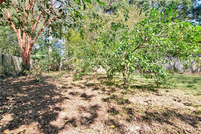 5912 Cansler Dr, Mobile, AL 36609 - view of yard