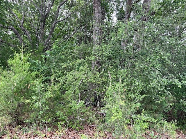 8345 Jessica Ln, Citronelle AL, 36522 land for sale