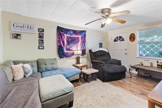 living room with ceiling fan and hardwood / wood-style flooring