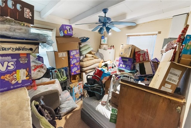 misc room with beamed ceiling, carpet flooring, and ceiling fan