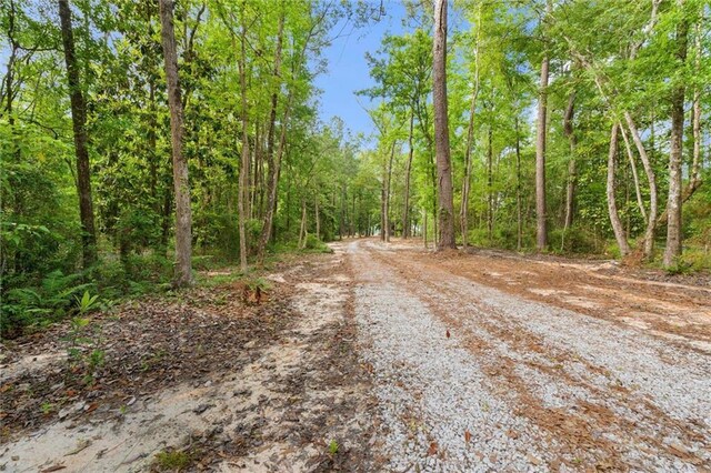 2637 Robin Hood Dr, Mobile, AL 36605