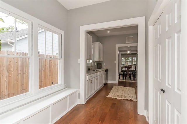 interior space with dark wood finished floors, visible vents, and a sink