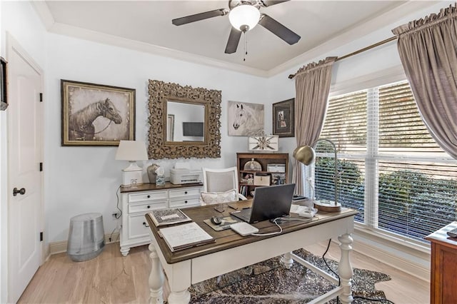 home office with ceiling fan, ornamental molding, and light hardwood / wood-style flooring