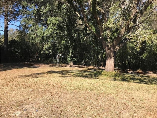 7020 Moffett Rd, Mobile, AL 36618 - view of green lawn