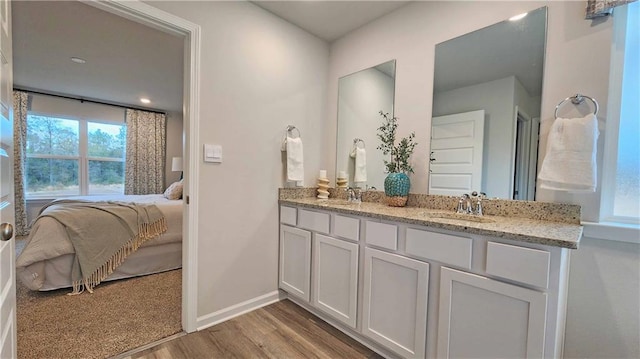 bathroom with hardwood / wood-style flooring and vanity