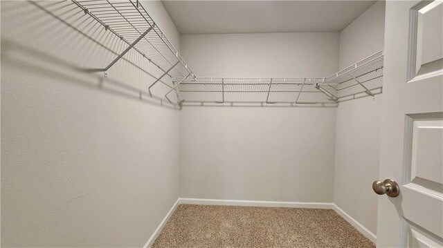 spacious closet with carpet