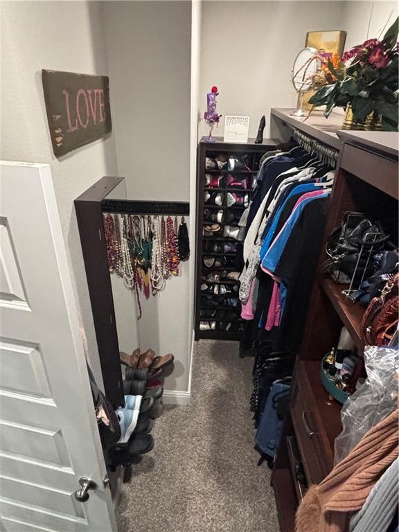 walk in closet with carpet flooring