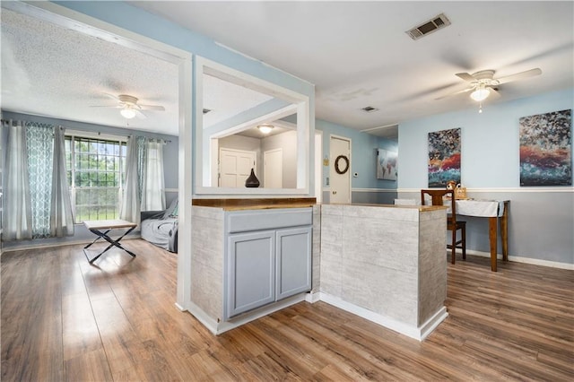 8920A Chunchula-Georgetown Rd, Chunchula, AL 36521 - kitchen with ceiling fan, gray cabinets, wood finished floors, and visible vents