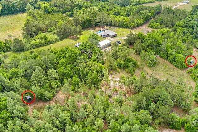 8920A Chunchula-Georgetown Rd, Chunchula, AL 36521 - birds eye view of property featuring a view of trees