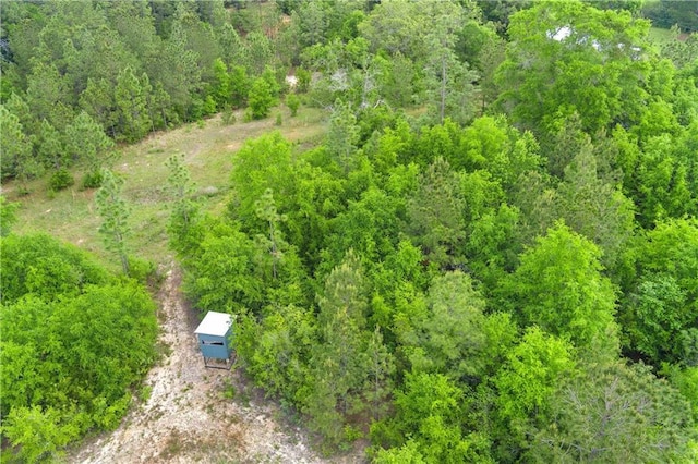 8920A Chunchula-Georgetown Rd, Chunchula, AL 36521 - birds eye view of property with a wooded view