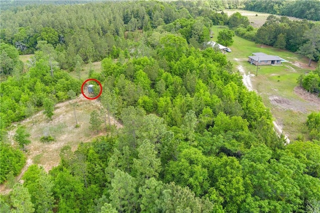 8920A Chunchula-Georgetown Rd, Chunchula, AL 36521 - aerial view with a wooded view