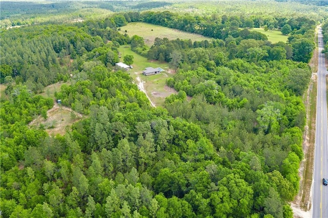 8920A Chunchula-Georgetown Rd, Chunchula, AL 36521 - aerial view with a view of trees