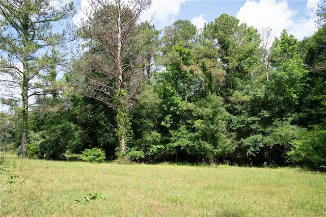 view of local wilderness