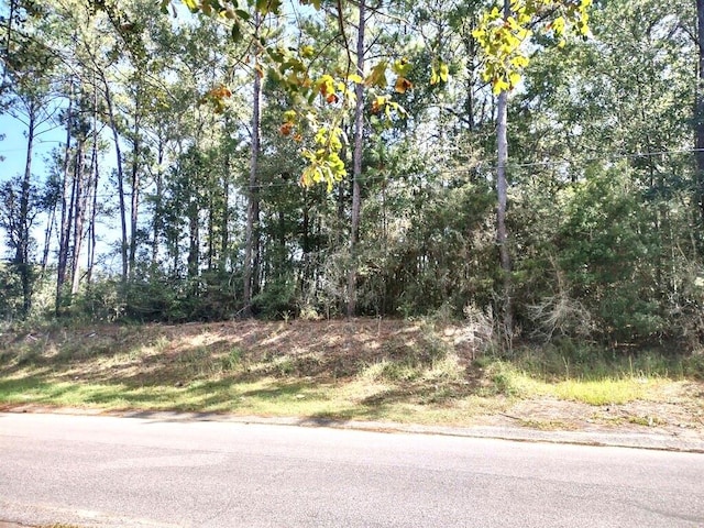 0 Astro Dr, Wilmer AL, 36587 land for sale