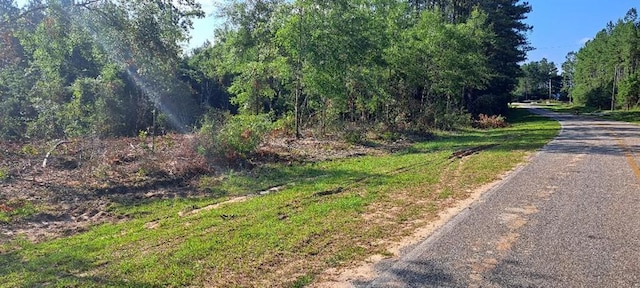 Listing photo 3 for 0 Old Citronelle Hwy, Chunchula AL 36521