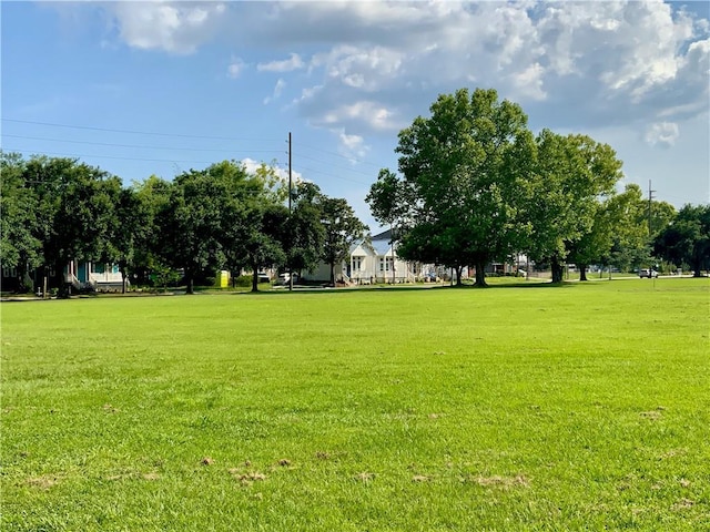 310 N Claiborne St, Mobile, AL 36603 - surrounding community with a yard