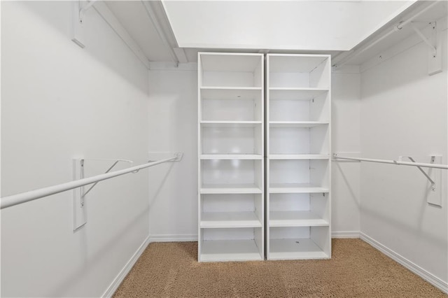 spacious closet featuring light carpet