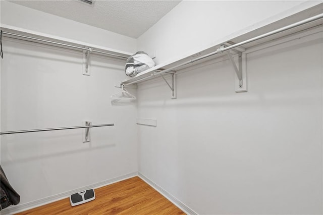 walk in closet featuring light wood finished floors