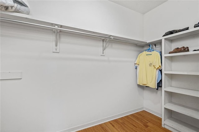 spacious closet featuring wood finished floors