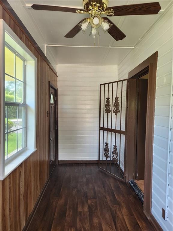 corridor featuring wood walls and dark hardwood / wood-style floors