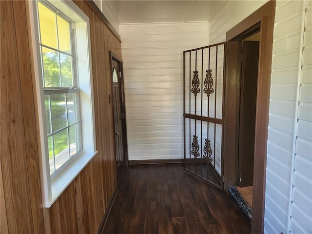 hall featuring dark wood-type flooring and wood walls