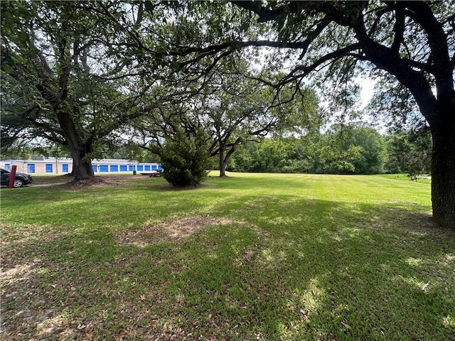 13085 Wintzell Ave N, Bayou La Batre, AL 36509