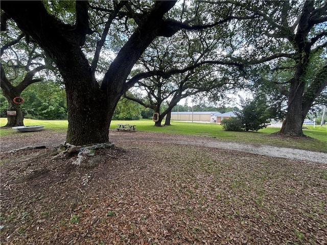 13085 Wintzell Ave N, Bayou La Batre, AL 36509