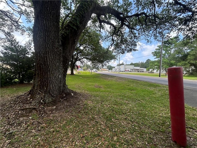 13085 Wintzell Ave N, Bayou La Batre, AL 36509