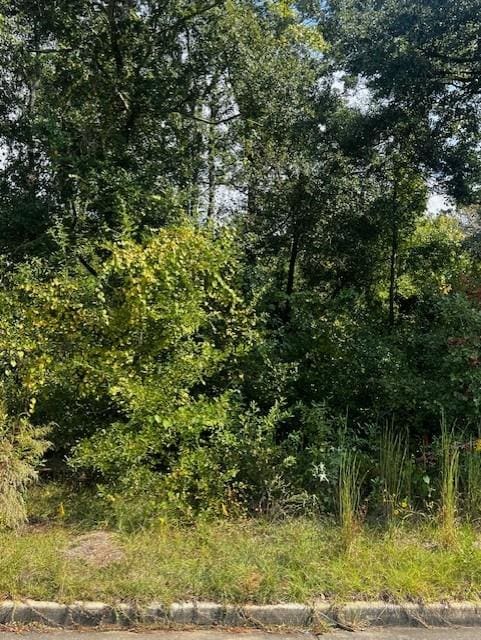 0 Oxbridge Way, Mobile AL, 36695 land for sale