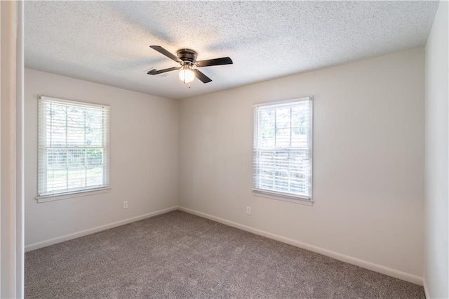 unfurnished room with a wealth of natural light, carpet, and a textured ceiling