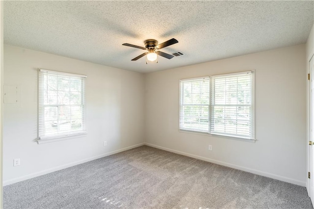 spare room featuring plenty of natural light, carpet floors, and a textured ceiling